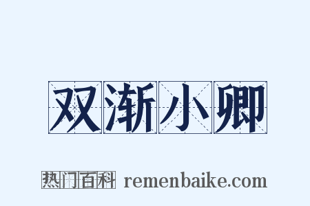 双渐小卿是什么意思的图片